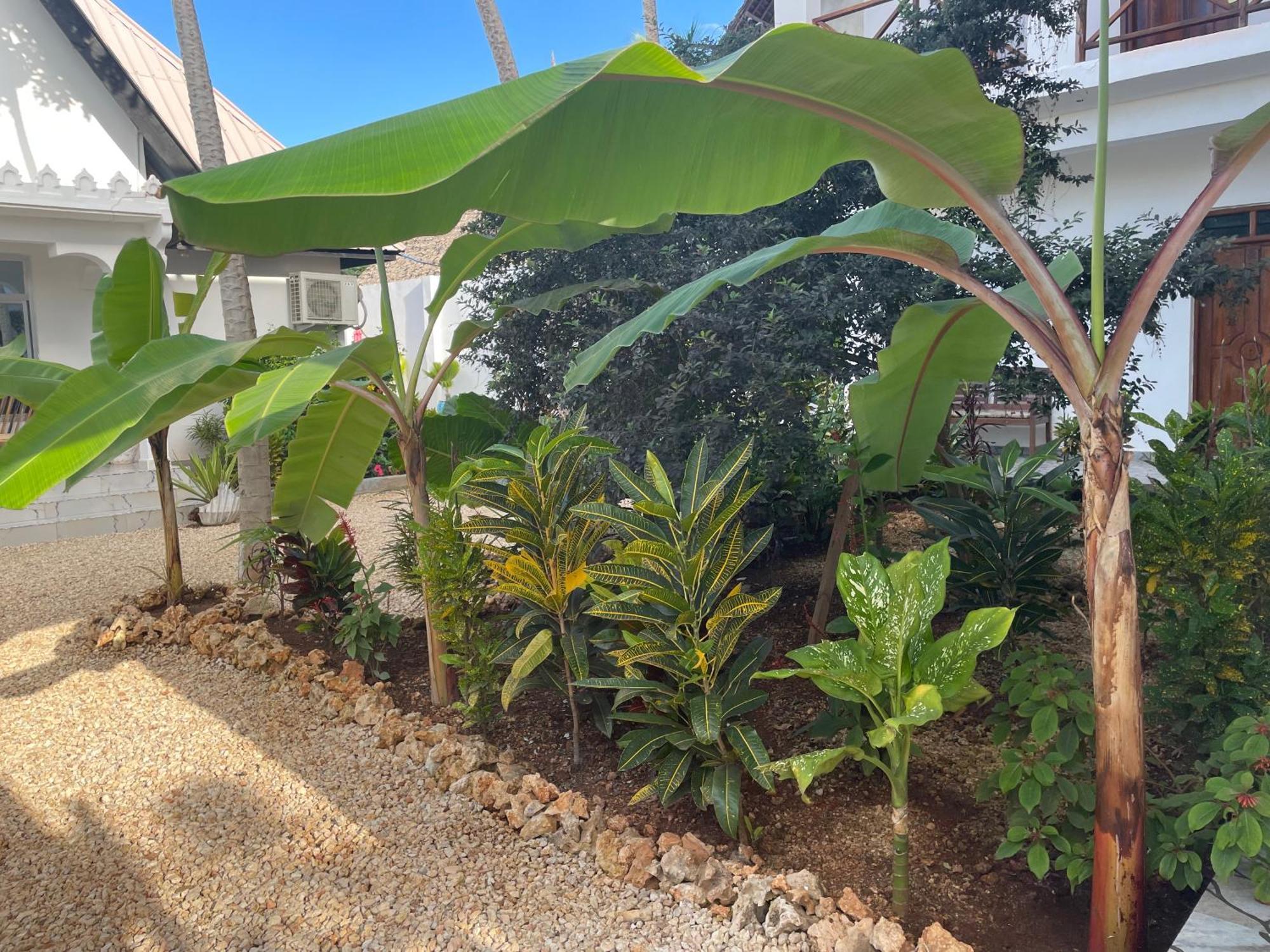 Daniel Zanzibar Hotel Nungwi Εξωτερικό φωτογραφία